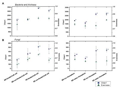 Development of a Distinct Microbial Community Upon First Season Crop Change in Soils of Long-Term Managed Maize and Rice Fields